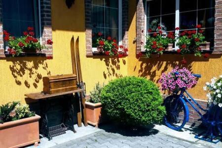 Atrium 24 * Sighisoara